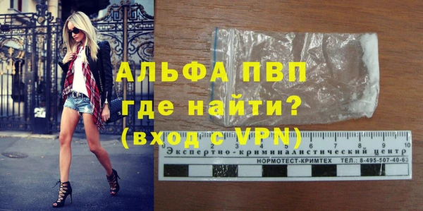 прущие грибы Белокуриха
